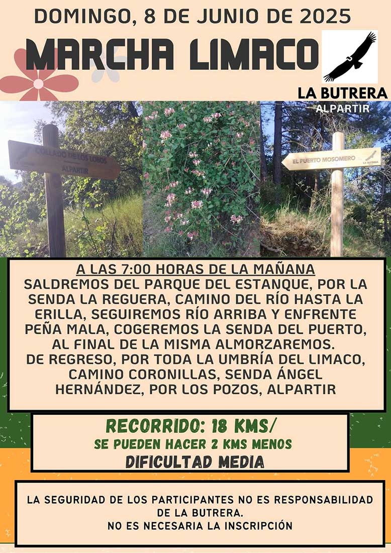 marcha-limaco